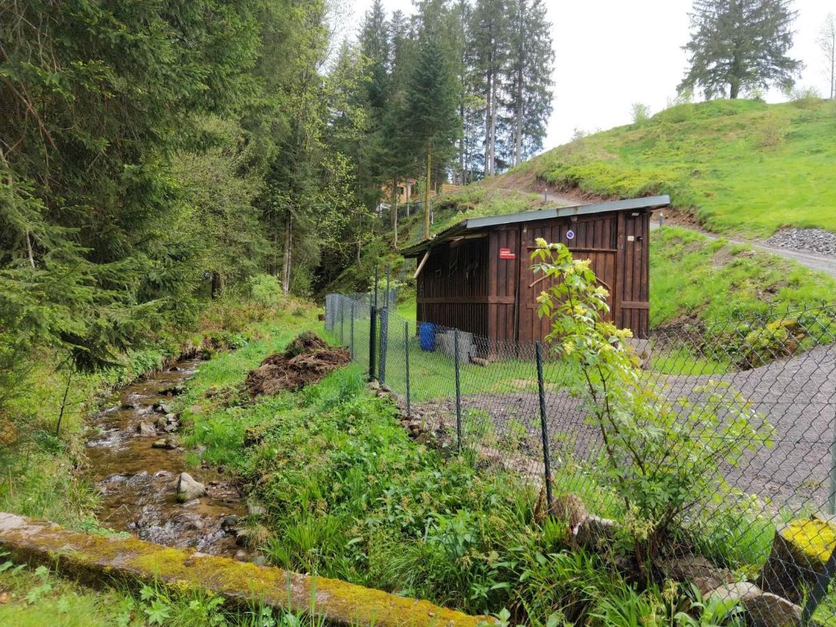 Le Refuge Perche Du Saut De La Bourrique Spa, Terrain Cloture Gérardmer Zewnętrze zdjęcie