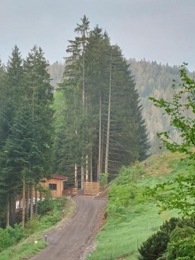 Le Refuge Perche Du Saut De La Bourrique Spa, Terrain Cloture Gérardmer Zewnętrze zdjęcie