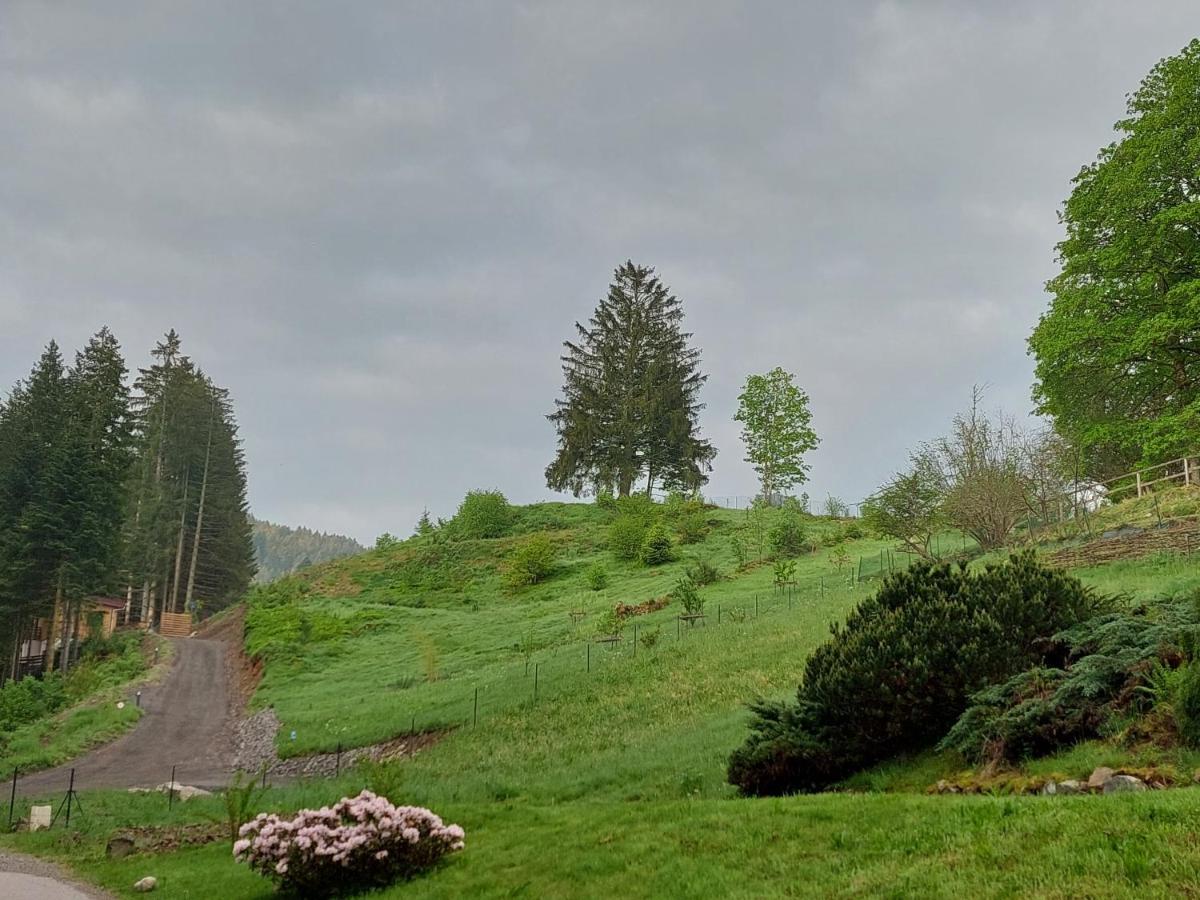Le Refuge Perche Du Saut De La Bourrique Spa, Terrain Cloture Gérardmer Zewnętrze zdjęcie