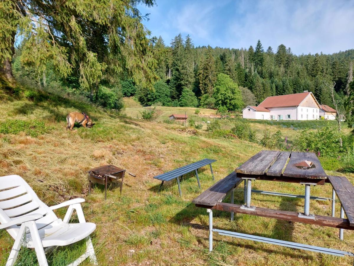 Le Refuge Perche Du Saut De La Bourrique Spa, Terrain Cloture Gérardmer Zewnętrze zdjęcie